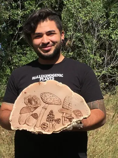 Ganoderma applanatum (Hongo del artista) — misma familia de estudio. Solo orientación.